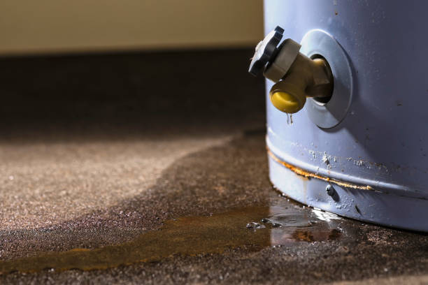 Best Residential water damage restoration  in Sierra Madre, CA