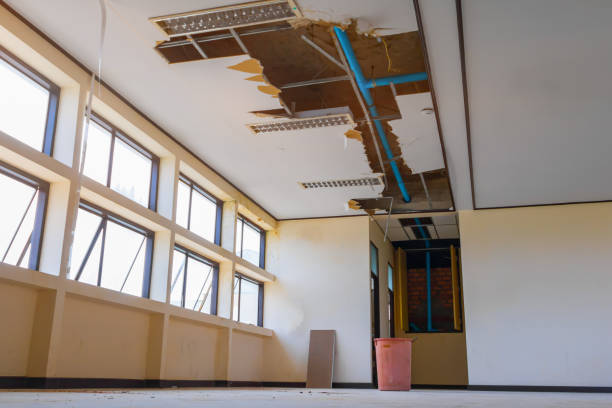 Best Water damage restoration process  in Sierra Madre, CA