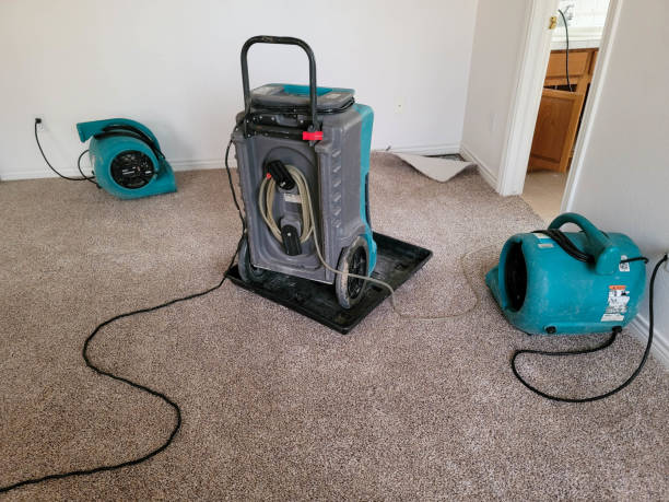 Best Water damage contractors near me  in Sierra Madre, CA