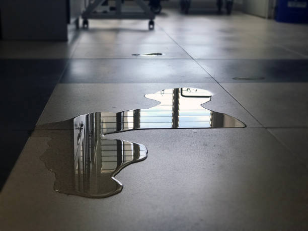 Trusted Sierra Madre, CA Water damage restoration Experts