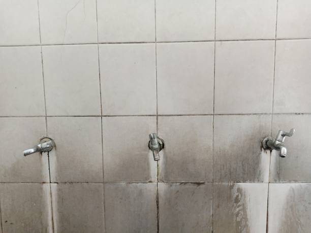 Sierra Madre, CA Water damage restoration Pros