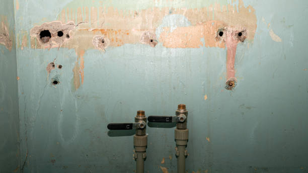 Best Professional water damage repair  in Sierra Madre, CA