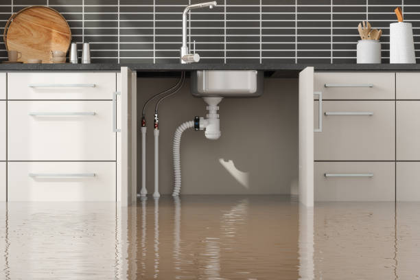 Best Ceiling water damage repair  in Sierra Madre, CA