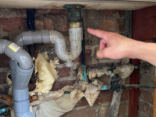 Best Water damage contractors near me  in Sierra Madre, CA