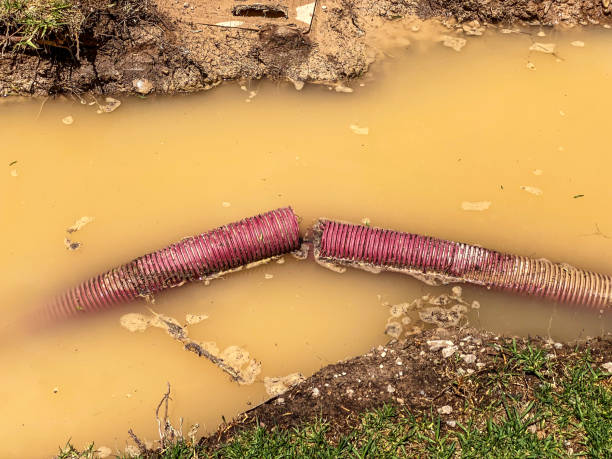 Best Water damage restoration near me  in Sierra Madre, CA