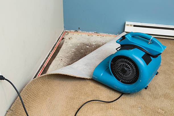 Best Flood damage cleanup  in Sierra Madre, CA